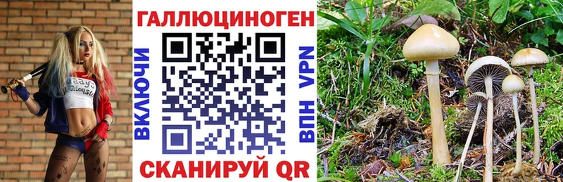 Галлюциногенные грибы Magic Shrooms  блэк спрут онион  Магас 